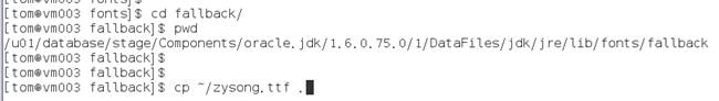 解决安装Oracle12c时中文方块字