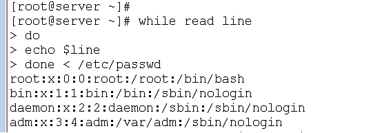 3. 学习bash 变量