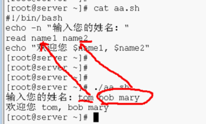 3. 学习bash 变量