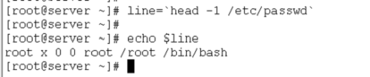 3. 学习bash 变量